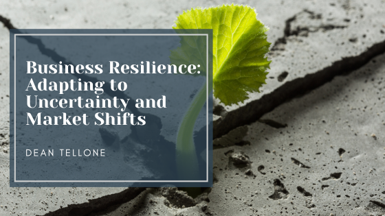 Business Resilience: Adapting to Uncertainty and Market Shifts